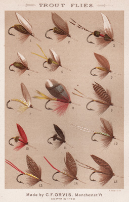 ANTIQUE PRINT OF FISHING FLIES FROM 1885